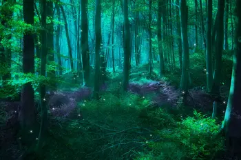 зеленый волшебный фон для фотографий в джунглях Зачарованного леса Высококачественный фон для компьютерной печати на стене