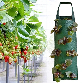 Мешки для выращивания Клубники, кашпо, горшок, Картофель для овощей, Травы, сумка для посадки цветов, Настенные вертикальные сумки для посадки, украшение