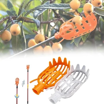 Головка для сбора фруктов в садовой корзине, Многоцветный пластиковый инструмент для сбора фруктов, Сельскохозяйственные принадлежности для сбора лаврового мармелада
