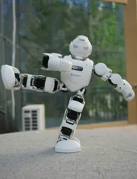 Ubisoft Alpha Robot 1ProEbot Искусственный интеллект Обучающий компаньон Программирование Централизованного управления Диалог Танец Танец