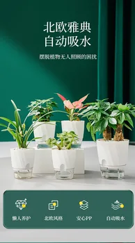 Новое растение Lazy Green Luo 2023, дизайн автоматического водопоглощения с прозрачной водной культурой, Маленький цветочный горшок